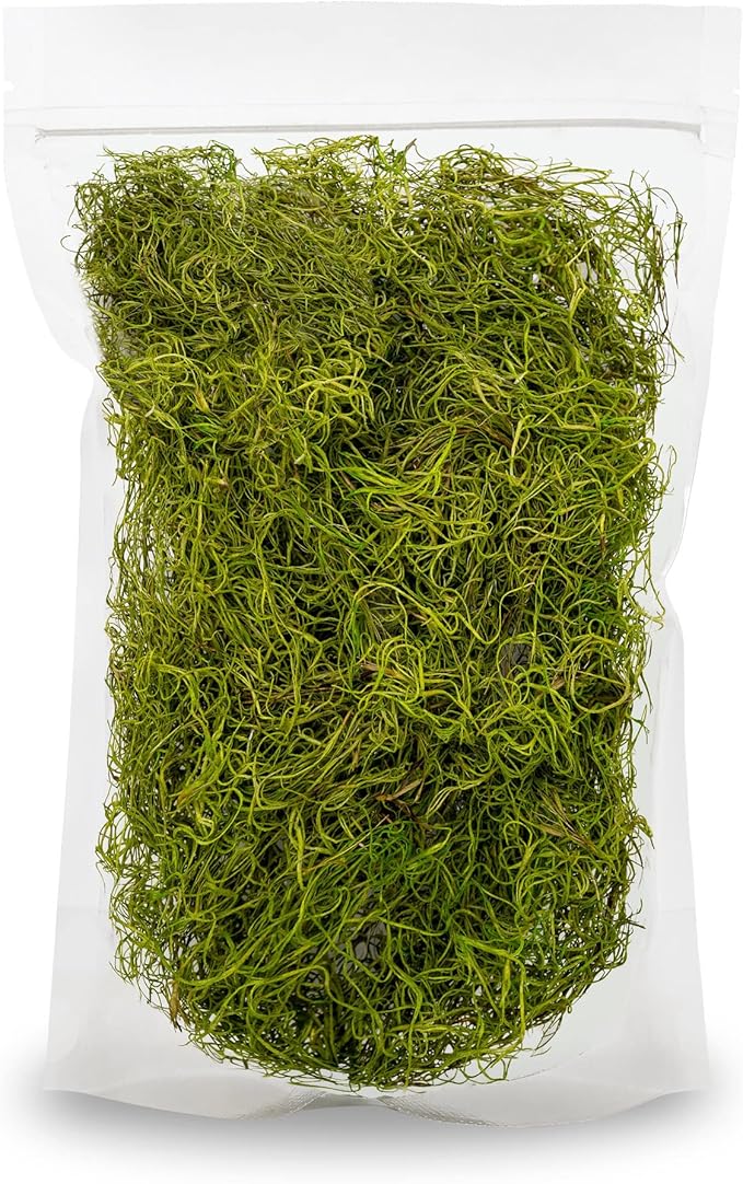 Premium Spanish Moss in Spring Green| Natural Preserved - Great Ground Cover - Filler for Potted Plants - by GARDENERA - 5 Quart Bag