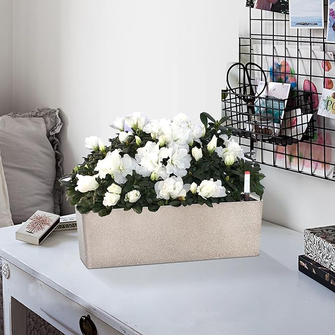 GardenBasix Elongated Self Watering Planter Pots 2-Pack Window Box 5.5 x 16 inch Indoor Home Garden Modern Decorative Pot for All House Plants Flowers Herbs (Coffee,2)