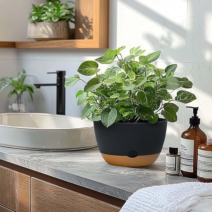 10 Inch Pots for Indoor Plants, Large Self Watering Planters with Drainage and Saucers, Plastic Outdoor Flower Pot, Set of 2, Grey