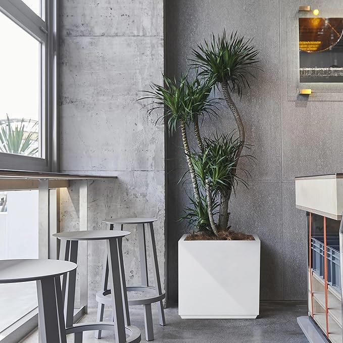 Metallic Heavy Planter Box for Outdoor or Indoor, No Assemble and Seamless, Large Square Planter, Cube Planter for Tall Trees, Plants, Flowers 21Lx21Wx24H 35Pounds White