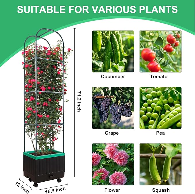 Raised Garden Bed with Self Watering Garden Pots, Planter Box with Trellis for Climbing Plants Vegetable Vine Flowers, Tomato Cage Planter for Indoor Outdoor Yard Greenhouse Use