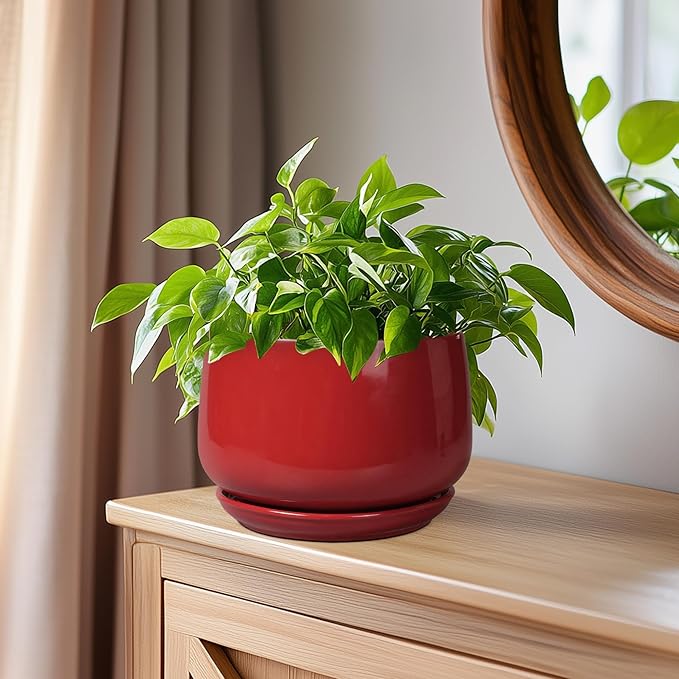 G EPGardening Ceramic Pot for Plants - 6 Inch Plant Pot with Drainage and Ceramic Tray, Modern Living Room Decor, Planter for Housewarming Gifts New Home, Red