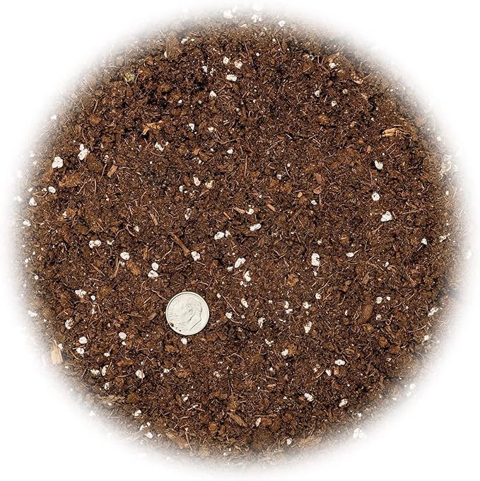 Premium Dracaena Potting Soil Mix - (2 Quart Bag)