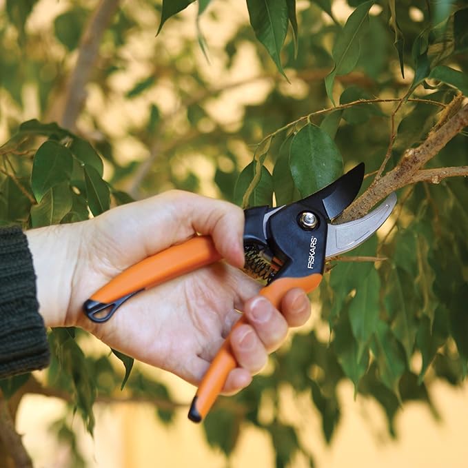 Fiskars Bypass Pruning Shears, 5/8-Inch Cut Capacity SoftGrip Hand Pruner for Small Hands, Blade Stays Sharp Through Heavy Use with Rust Resistant, Low-Friction Coating