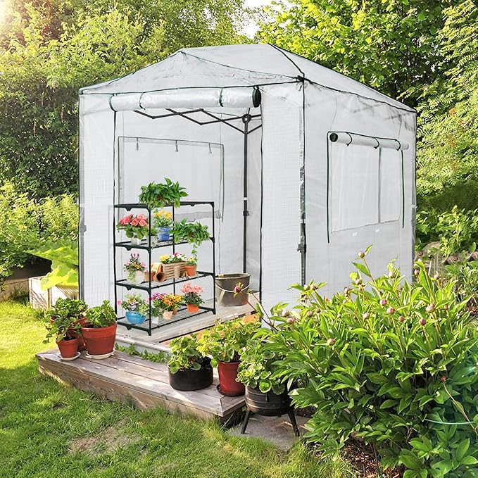 EAGLE PEAK 8x6 Portable Walk-in Greenhouse, Pop-up Indoor Outdoor Garden Green House, Zippered Doors and Windows, PE Cover, White