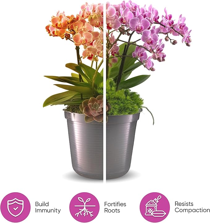 Molly's Orchid Mix - Premium Soilless Potting Mix for Orchids - Contains Bark, Coco Chips, Akadama, Pumice, Lava Rock, 11 Liters