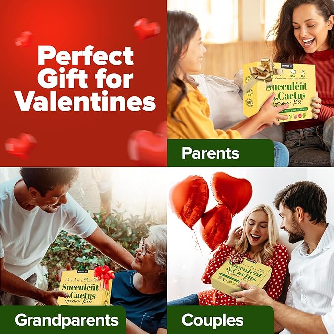 HOME GROWN Deluxe Succulent & Cactus Seed Grow Kit - Indoor Cactus & Succulent Kit w/Cactus Seeds, Potting Soil, Ceramic Succulent Pots, Water Drip Trays, Grow Guide for Plant Lovers