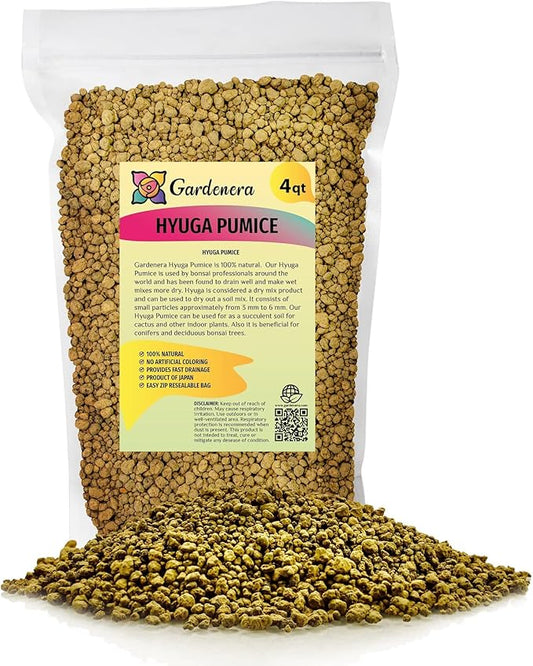 Japanese Hyuga Pumice - Premium Additive for Orchid & Bonsai Tree Soil |Professional Imported Sifted and Ready to Use (4 Quart Bag)