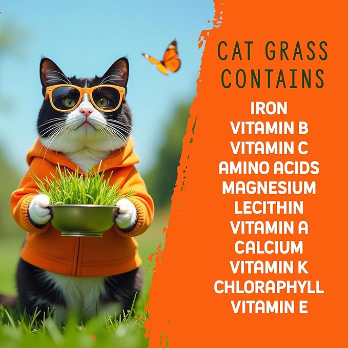 Organic Cat Grass Premium Grow Kit 4 Pack | Non GMO Mixed Heirloom Seeds | Wheatgrass - Oat Grass - Barley Grass Blend