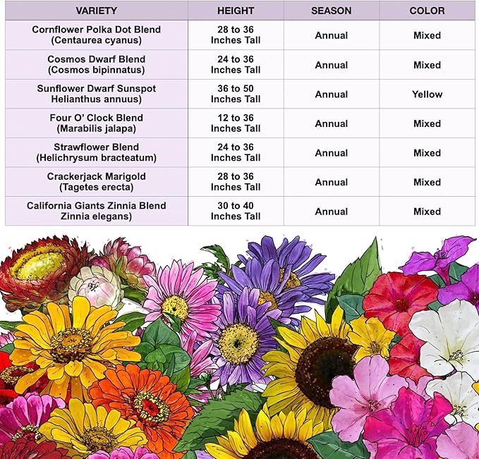 Seed Needs Garden Flower Seeds Large Blooms Mix Hummingbird and Butterfly | 10 Packs (1 Ounce Each) No Filler 7 Varieties Open Pollinated | Resealable Package Live Wild Flower Seed | Bulk