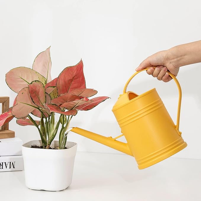 Plastic Indoor Watering Can with Detachable Sprinkler Head - 68oz (1/2 Gallon) for House Plants and Flowers
