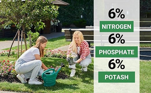 6-6-6 All-Purpose Professional Plant Food Fertilizer; Ideal for Winter Care & Spring Feeding, Perfect Balanced NPK for Indoor and Outdoor Plants (20 QUARTS)