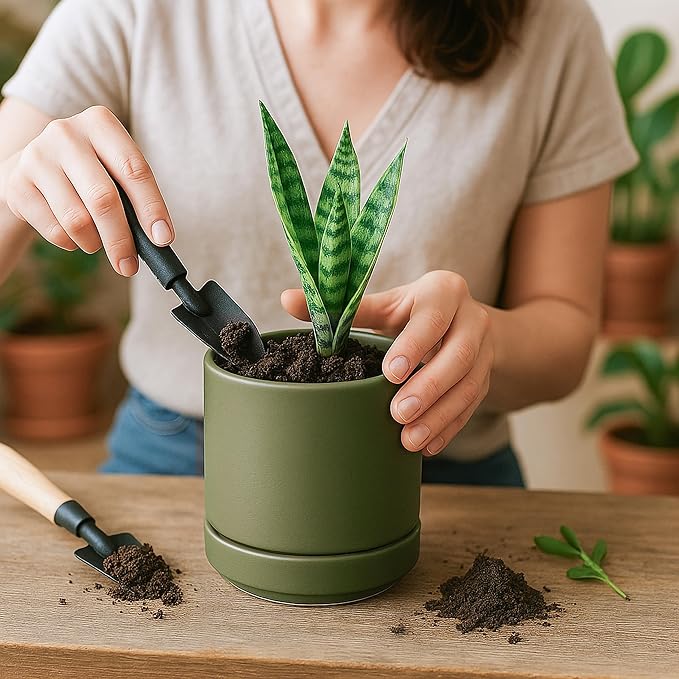 D'vine Dev Set of 4 Small Ceramic Plant Pots, 4.6 Inch Succulent Planter Pot for Plants with Drainage Hole and Saucer, Olive, 94-X-B-0