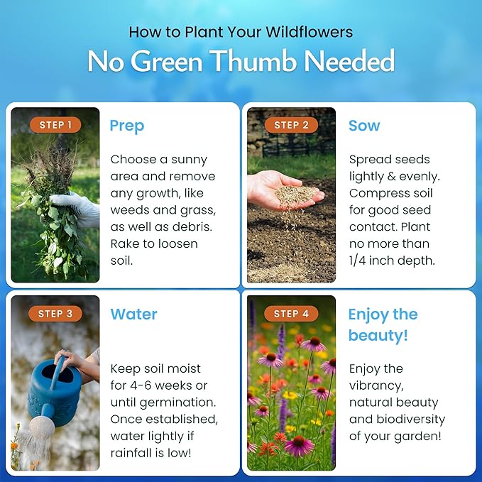 Created By Nature Bee & Butterfly Wildflower Seed Mix, 16 Varieties, 30,000 Seeds