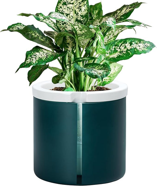 D'vine Dev 8 Inch Design Self Watering Planter for Indoor Plants, White Terracotta Pot with Teal Cylinder Glass Cup, 37-X-C-5