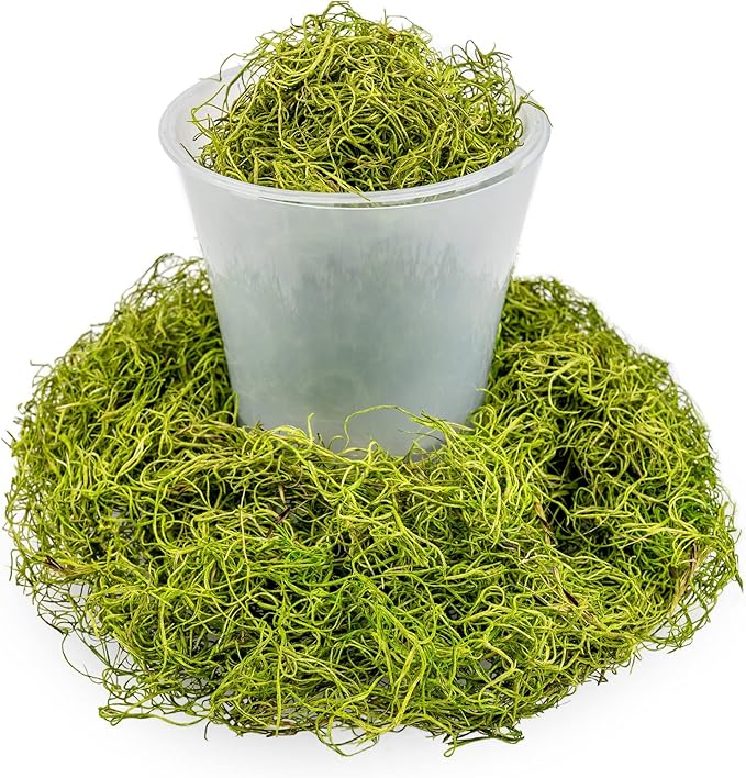 Premium Spanish Moss in Spring Green| Natural Preserved - Great Ground Cover - Filler for Potted Plants - by GARDENERA - 4 Quart Bag
