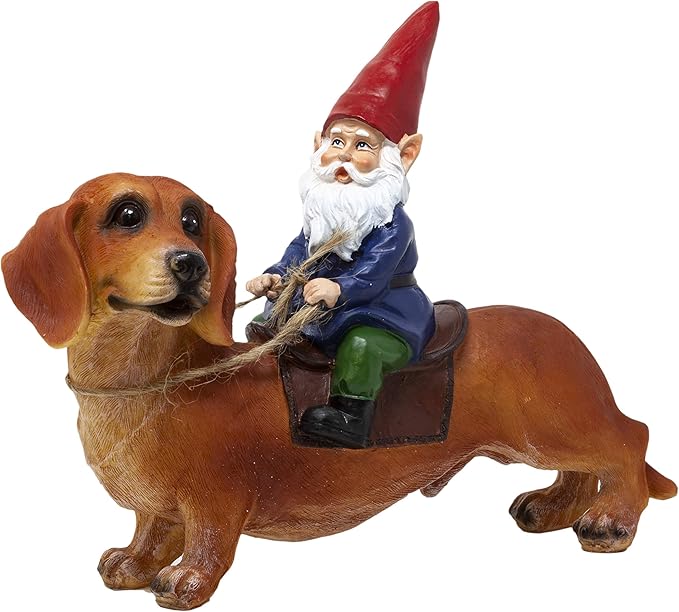 Funny Guy Mugs Gnome and a Dachshund Garden Statue- Indoor/Outdoor Garden Dog Gnome Sculpture for Patio, Yard or Lawn