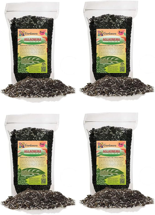 Aglaonema Potting Mix - Unlock Robust Growth and Vibrant Leaves with Our High-Performance Formula - 20 Quart