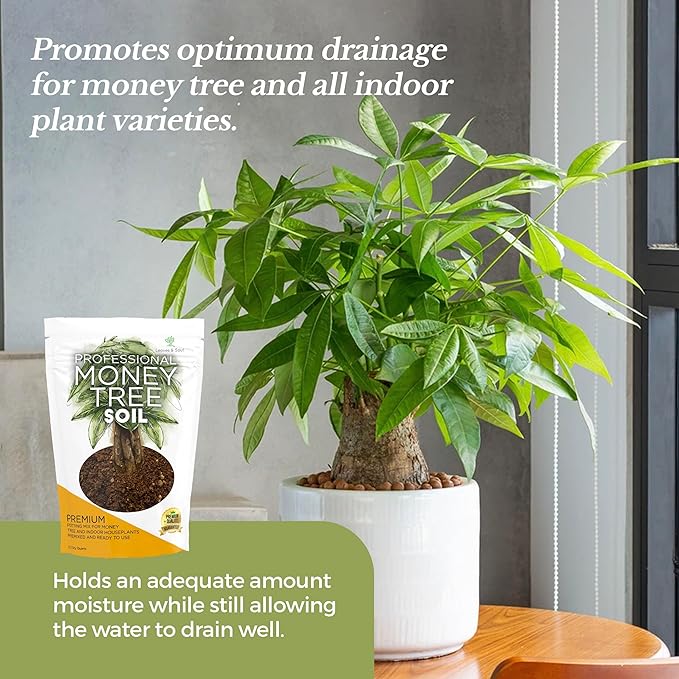 Professional Money Tree Soil | Large 2.2 Quarts Ready to Use for Money Tree Plants | Peat Moss, Coco Coir, Perlite, Dolomite | Made in USA