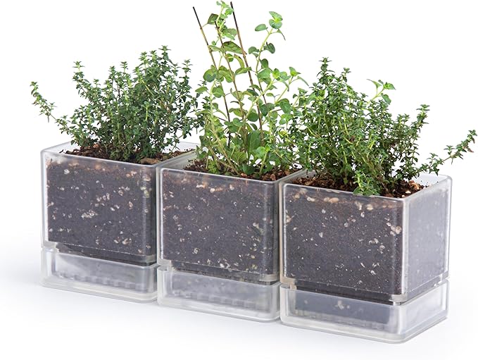 4 Inch Herb Planter Pot, Plastic Planter with Drainage Holes and Saucer, Modern Decorative Gardening Pot for Indoor Plants, Flowers, Herbs, Succulents, Clear, Set of 3, 76-Y-D-3