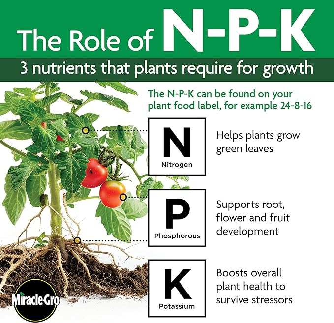 Miracle-Gro Shake 'N Feed All Purpose Plant Food, For In-Ground and Container Plants, Feeds for up to 3 Months, 8 lbs.