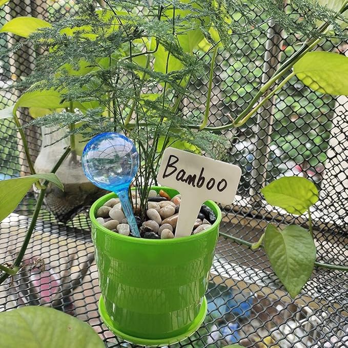 MOONSOUND Small Plant Watering Globes, 6pcs Plastic Plant Watering Devices, Plant Waterer Self Watering Bulbs for Indoor Outdoor Plants