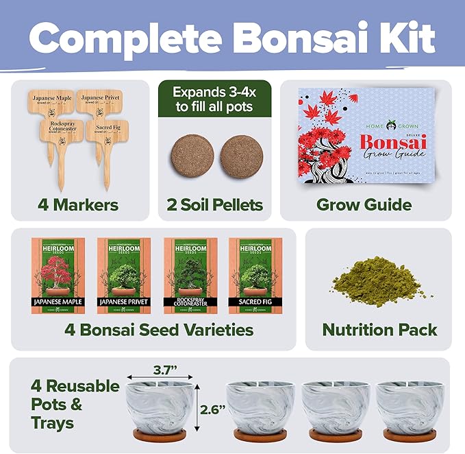 HOME GROWN Bonsai Tree Kit - Premium Ceramic Starter Kit - 4 Variety of Bonsai - Unique Gift for Men and Women Gardeners (BK2-2nd-MF)