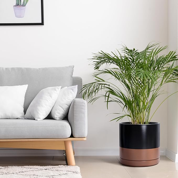 D'vine Dev 12 Inch Ceramic Planter Pot with Drainage Hole and Saucer, Indoor Cylinder Round Planter Pot, Black/Speckled Tan, 94-O-F-7