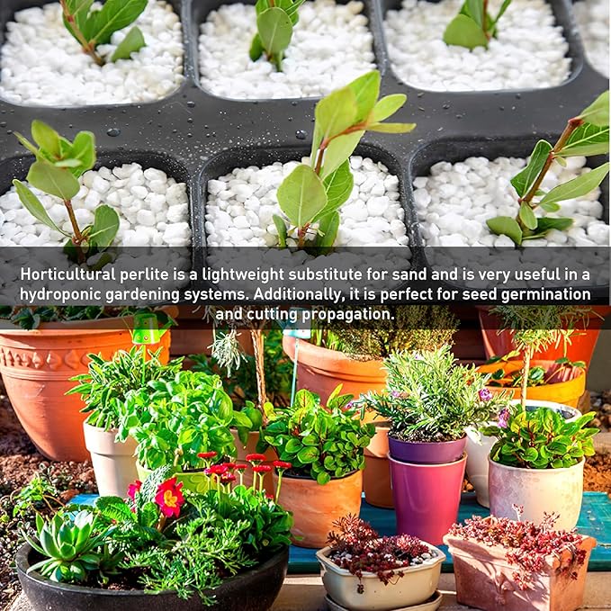 Norcal Perlite Horticultural Perlite Organic Certified Premium Screened Coarse – Garden Indoor Outdoor Plants – Soil Additive Better Aeration and Drainage - 2 Cubic Feet (62 Quarts) 1 Bag