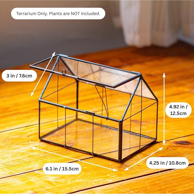 NCYP Mini Glass Terrarium with Lid - 6.1" x 4.25" x 4.92" House Shape Closed Planter Pot for Small Cactus, Succulents Plant - Home Garden Office Tabletop Geometric Decor, Black (Terrarium Only)