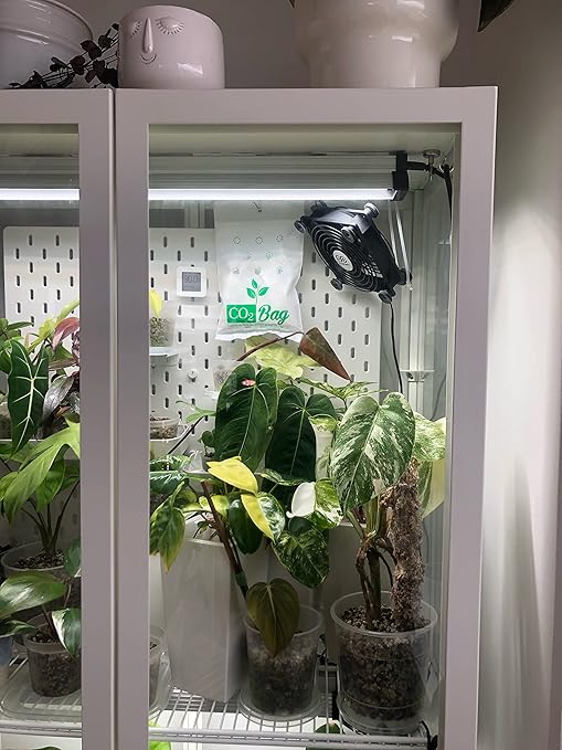 CO2BAG® for Indoor Growing -Medium-2-Pack