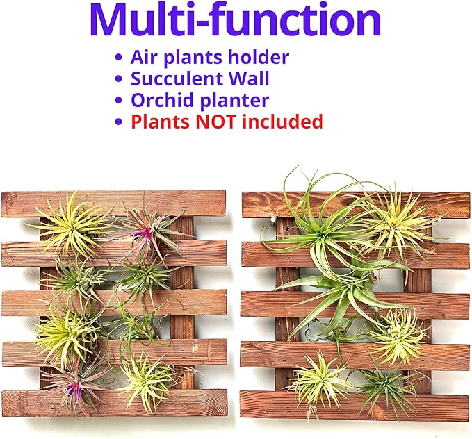 ShopLaLa Wall Planter - 2 Pack Wooden Hanging Succulent Wall Decor, Live Air Plants Orchids Wall Mounted Holder Frame Display for Indoor Outdoor, Living Plant Wall Decor Balcony Garden