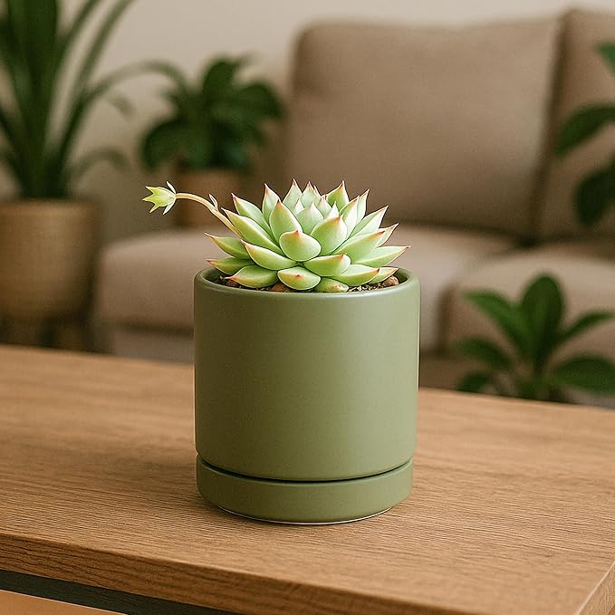 D'vine Dev 3.5 Inch Ceramic Planter Pot with Drainage Hole and Saucer, Indoor Cylinder Round Planter Pot, Olive, 94-O-A-J