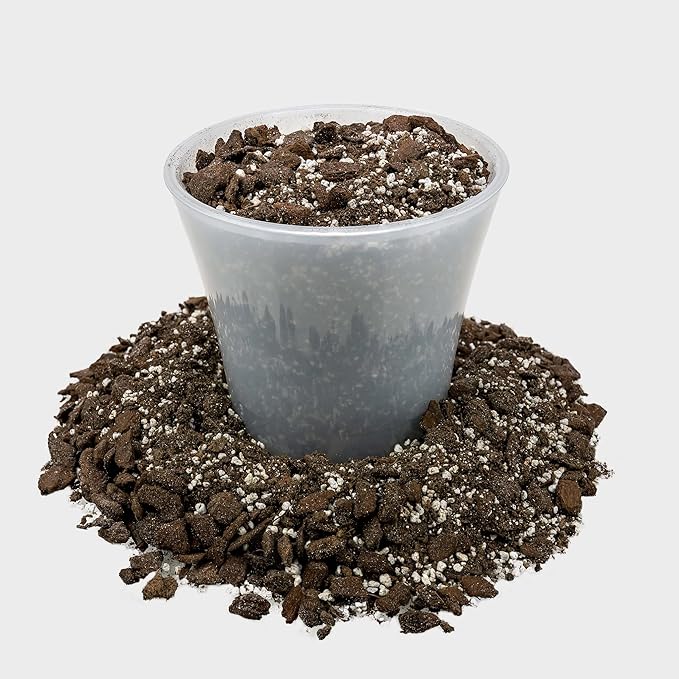 Professional Succulent Soil Premium All Purpose Blend | Pre-Mixed Ready to Use for Cactus and Succulents | Sphagnum Peat Moss, Perlite, New Zealand Pine Bark - Made in USA - 3 Quart