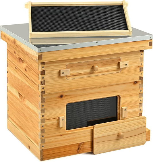 CREWORKS 10 Frame Bee Hive, 2 Layers Beeswax Coated Beehive Starter Kit with Frames & Foundations, Langstroth Bees Hives Box with Transparent Acrylic (Window Medium Box & Deep Box)