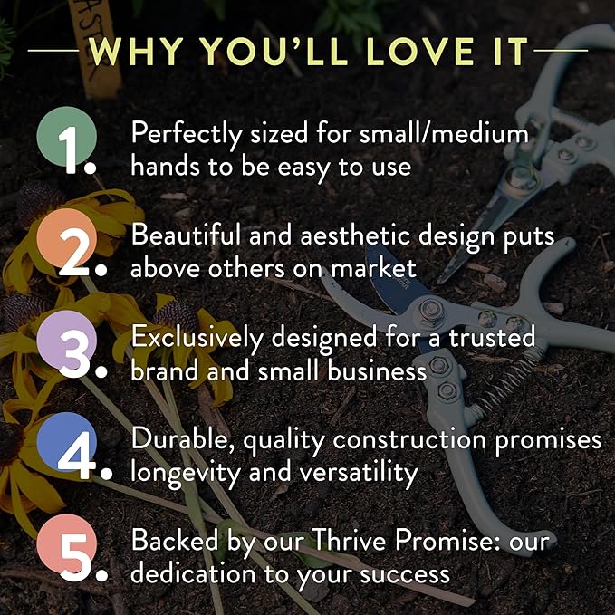 Modern Sprout Hand Pruners - Lightweight Pruning Shears W/Easy Lock- Gardening Scissors - Bypass Sharp Carbon Steel Blade - Rust Resistant - Garden Tools - Reusable Holster - Sage