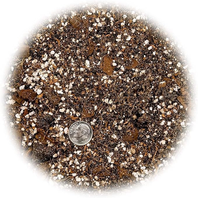 Organic Banana Tree Soil Mix - Specially Designed for Thriving Banana Plants - Nutrient-Rich Blend for Healthy Root Development and Lush Foliage (2 Quart)