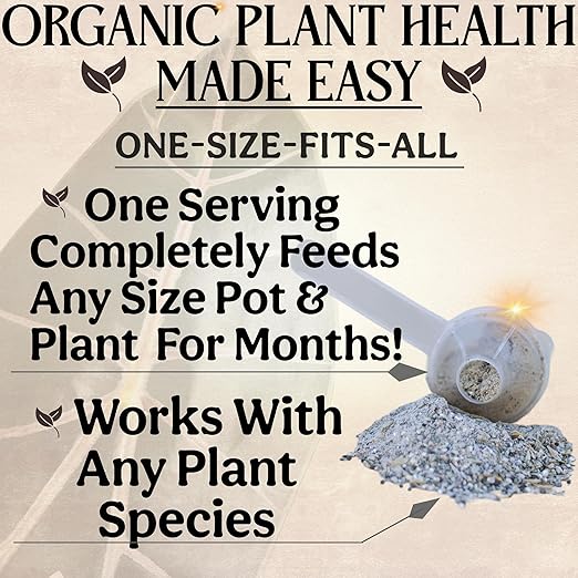The All-in-One Complete Organic Plant Food, Indoor Plant Food for Houseplants, Organic Fertilizer for Vegetable Gardens, 1lb = 25 Formulated Servings Feeds 50 gal Instantly and Slow Release