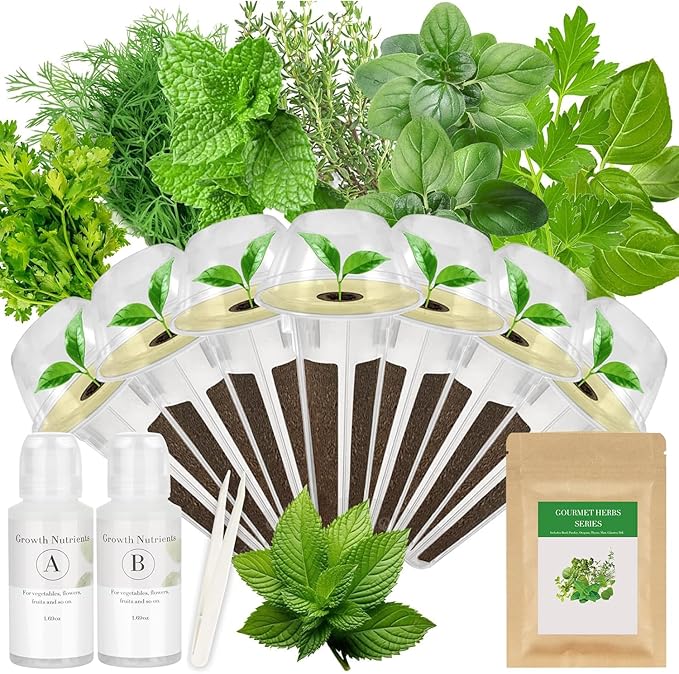 Gourmet Herbs Seed Pod Kit for AeroGarden, iDoo, Ahopegarden, MUFGA Hydroponics Garden with Basil, Parsley, Thyme, Mint, Cilantro, Dill, Oregano - Compatible with All Hydroponics (7-Pod)
