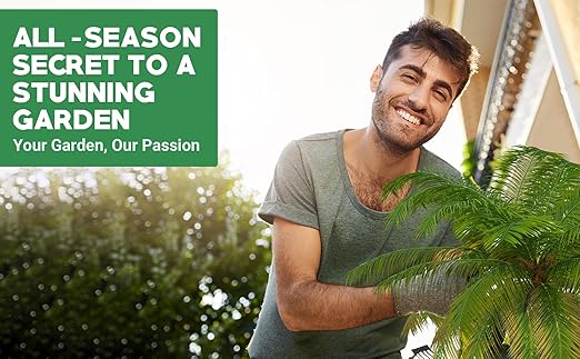 8-4-8 Professional Palm Tree Fertilizer Plant Food; for Indoor Potted Plants and Outdoor Landscape Palm Trees; Quick-Release Nitrogen Fertilizer and Continuous Feeding (5 QUARTS)