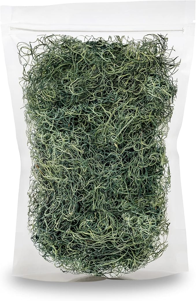 Premium Spanish Moss in Basil| Natural Preserved - Great Ground Cover - Filler for Potted Plants - by GARDENERA - 4 Quart Bag