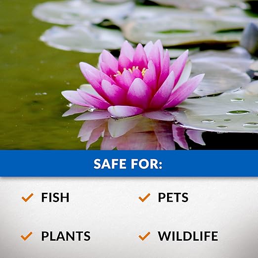 CrystalClear Algae D-Solv Pond Algae Control, Fast-Acting EPA Registered Algaecide, Use in Fountains & Outdoor Ponds Containing Koi & Other Fish, Treats 11,520 Gallons, 32 Ounces