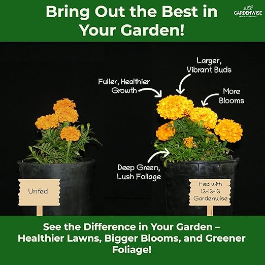 13-13-13 Slow Release Granular Fertilizer – All Purpose Plant Food 13 13 13 for Outdoor Grass, Vegetables, Roses, Flowers, Shrubs, Trees. Lawns, Gardens, Potted Plants (4 quarts)