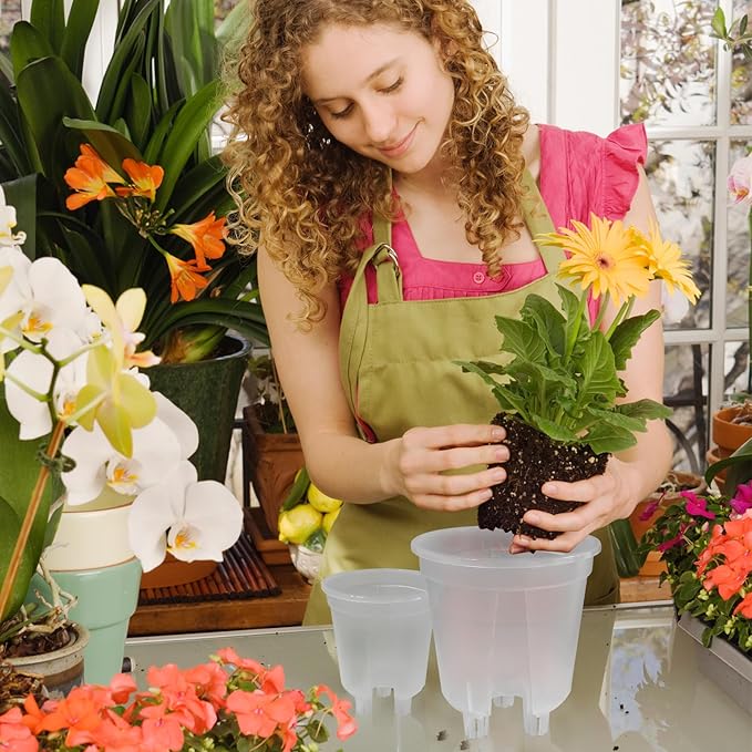 Cdd's Path 6-Pack Self Watering Pots Set with Holes for Indoor/Outdoor Plants,2 Each of 5, 6 and 7 Inch Planter Pot with Watering Hole/Reservior and Air Pipes,Clear