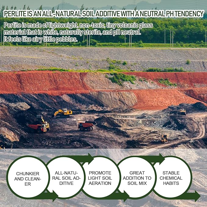 10QT Horticultural Perlite Bulk, Organic Perlite for Plants, Course Perlite for Gardening, for Plants Indoor, for Houseplants, to Promotes Soil Root Growth, and Water Drainage and Plant Growth(3-6mm)