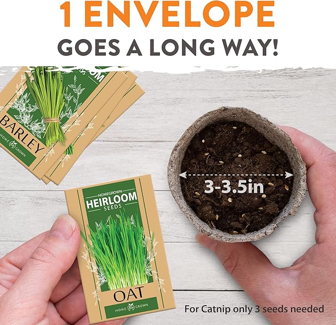 HOME GROWN Cat Grass Seed Mix – Non-GMO Oat, Alfalfa, Rye & Wheat Seeds for Cats | Indoor Pet Grass with Fast Germination | Digestive Aid, Hairball Relief & Safe Chew Alternative