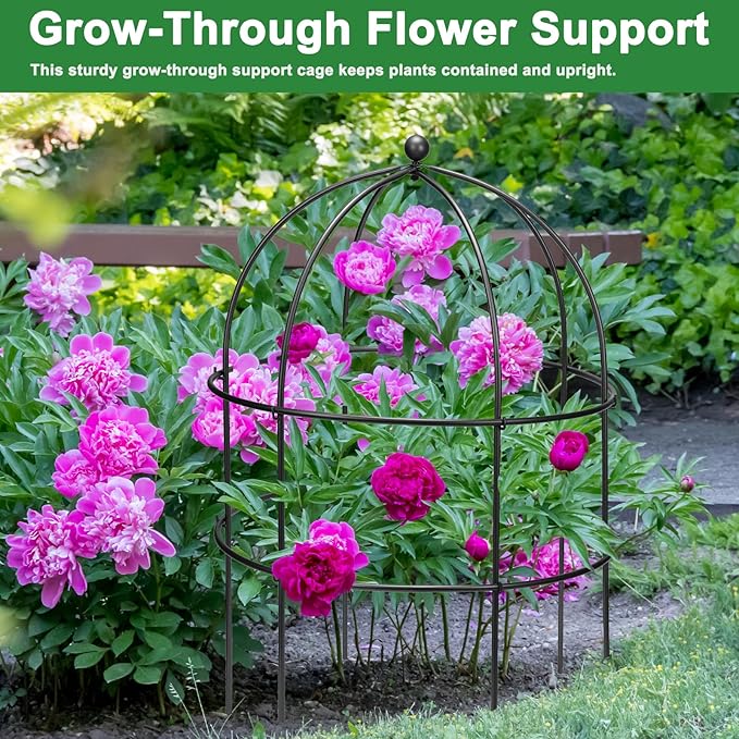 2 Pcs Jardin Bird Cage Plant Support 24" H Large Sturdy Grow-Through Flower Support Black Peony Plant Support Cage Climbing Plant Trellis Sculptural Garden Decor for Perennial Flowers Classic Black
