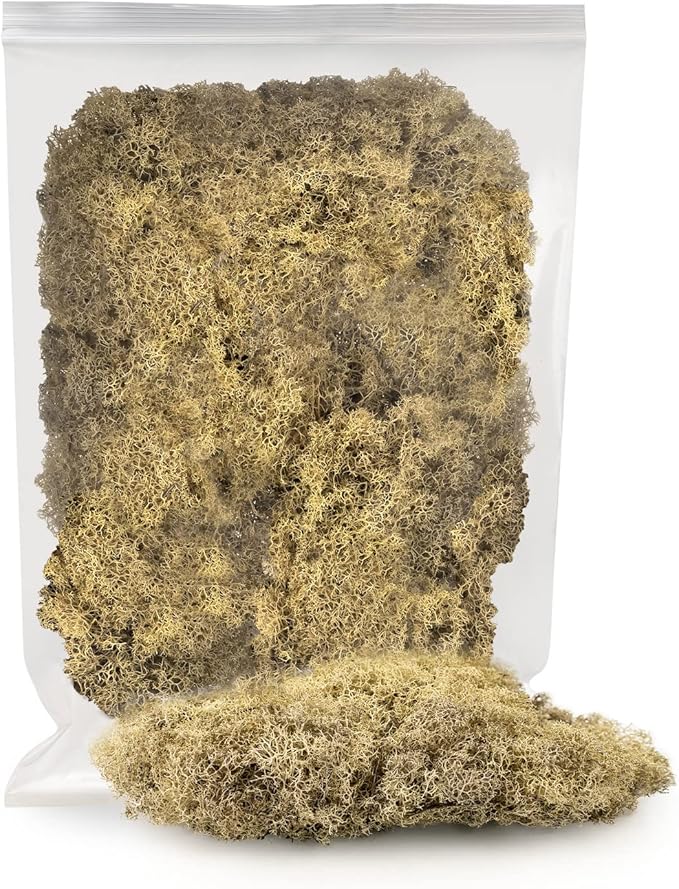 Premium Preserved Reindeer Moss for Potted Plants, Terrariums, Fairy Gardens, Arts and Crafts or Floral Decor Design in Natural (2 Quart Bag)