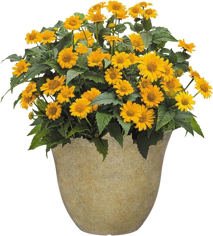 Classic Home and Garden Honeysuckle Resin Flower Pot Planter, Fossil Stone, 15"