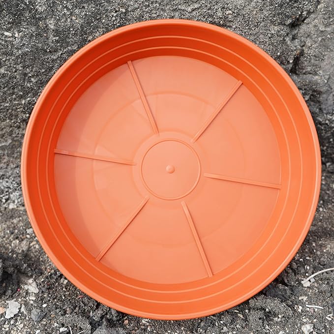 Plant Saucer 8 Inch 4 Pack 6 8 10 12 14 16 18 20 25, Plastic Plant Trays for Pots，Extra-Deep Plant Water Dray Tray, Bird Bath Bowl, Heavy Flower Plant saucers Indoors and Outdoor No Holes 8in-4 red